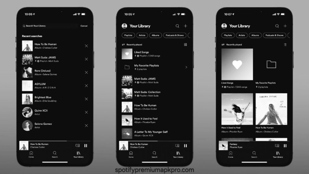 Spotify Premium Library